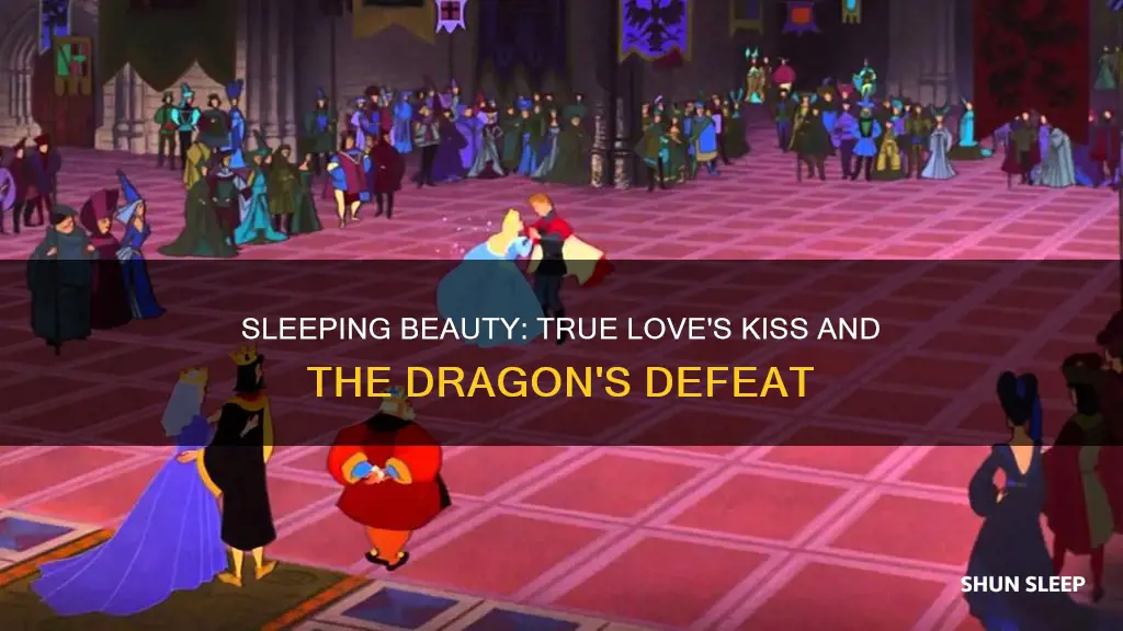 what happens at the end of the animated sleeping beuty