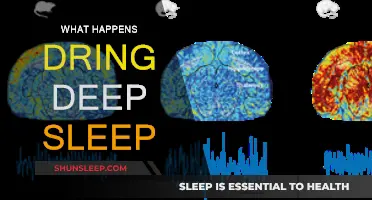 Deep Sleep: The Body's Restoration Mode