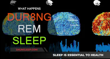 REM Sleep: Unlocking the Brain's Secrets