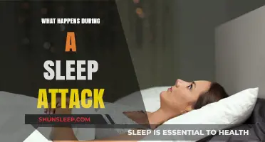 Sleep Attacks: What Happens to Your Body?