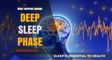 Unlocking Deep Sleep: A Journey to Understanding