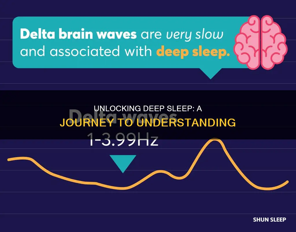 what happens during deep sleep phase