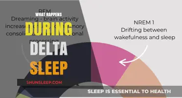 The Mystery of Delta Sleep: Unlocking the Power