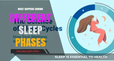 Sleep Phases: Understanding the Science of Sleep
