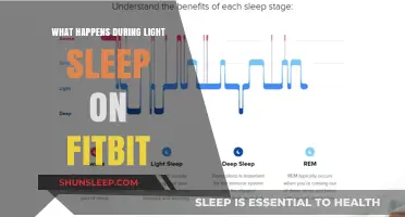 Understanding Light Sleep: Fitbit's Insights