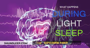 Exploring the Intricacies of Light Sleep