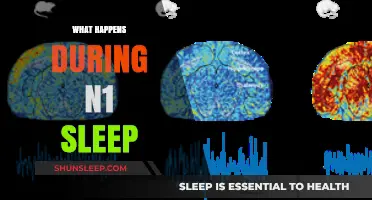 Understanding N1 Sleep: A Gateway to Rest