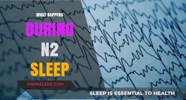 N2 Sleep: A Deep Dive into the Brain's Activity