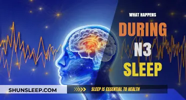 Deep Sleep: N3 Explained