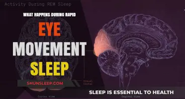 Understanding Rapid Eye Movement Sleep: What Happens?