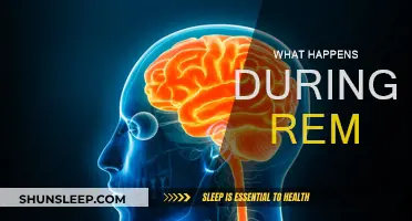 Understanding REM Sleep: Unlocking the Brain's Secrets