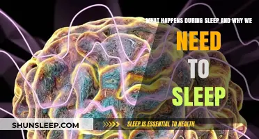 Sleep: Unraveling the Mystery of Slumber
