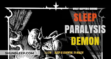 Sleep Paralysis: Demon Haunts