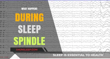 Sleep Spindles: Brain Waves and Memory Formation