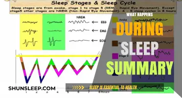 Sleep: The Body's Journey Through Rest