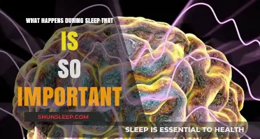 Sleep: Unraveling the Mystery of Its Power