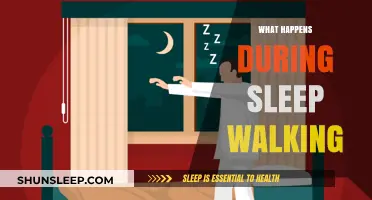 Sleepwalking: Unconscious Actions and Their Mysteries
