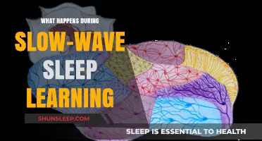 Unlocking the Power of Slow-Wave Sleep Learning