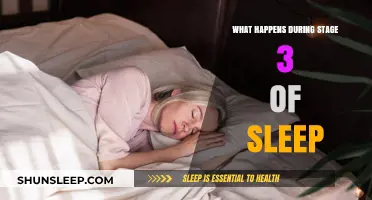 Deep Sleep: The Body's Restoration Mode