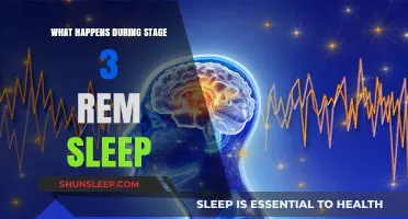 Exploring the Intricacies of REM Sleep Stage 3