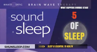 Deep Sleep: The Body's Restoration Mode