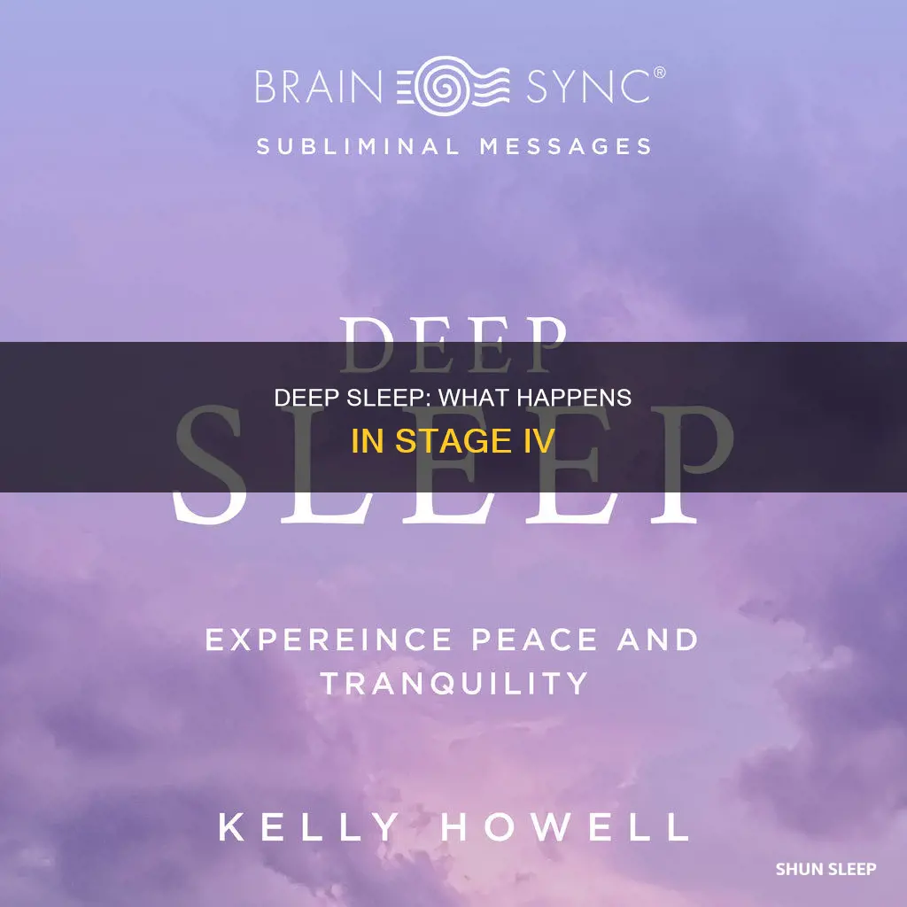what happens during stage iv sleep
