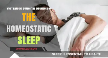 Understanding Homeostatic Sleep: The Science Behind Sleep Regulation