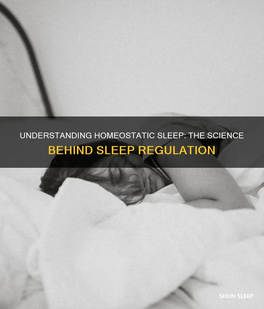 what happens during the experience of the homeostatic sleep