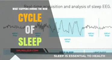 REM Sleep: Unlocking the Brain's Secrets