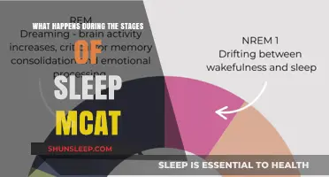 Sleep Stages: Understanding the MCAT Way