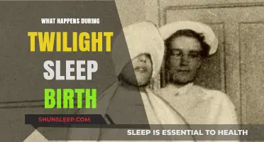 Twilight Sleep: Childbirth Without Pain