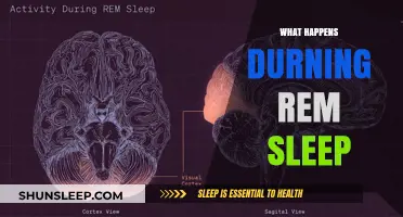 REM Sleep: Unlocking the Brain's Secrets