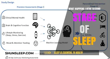 Exploring the Intricacies of Sleep's Second Stage