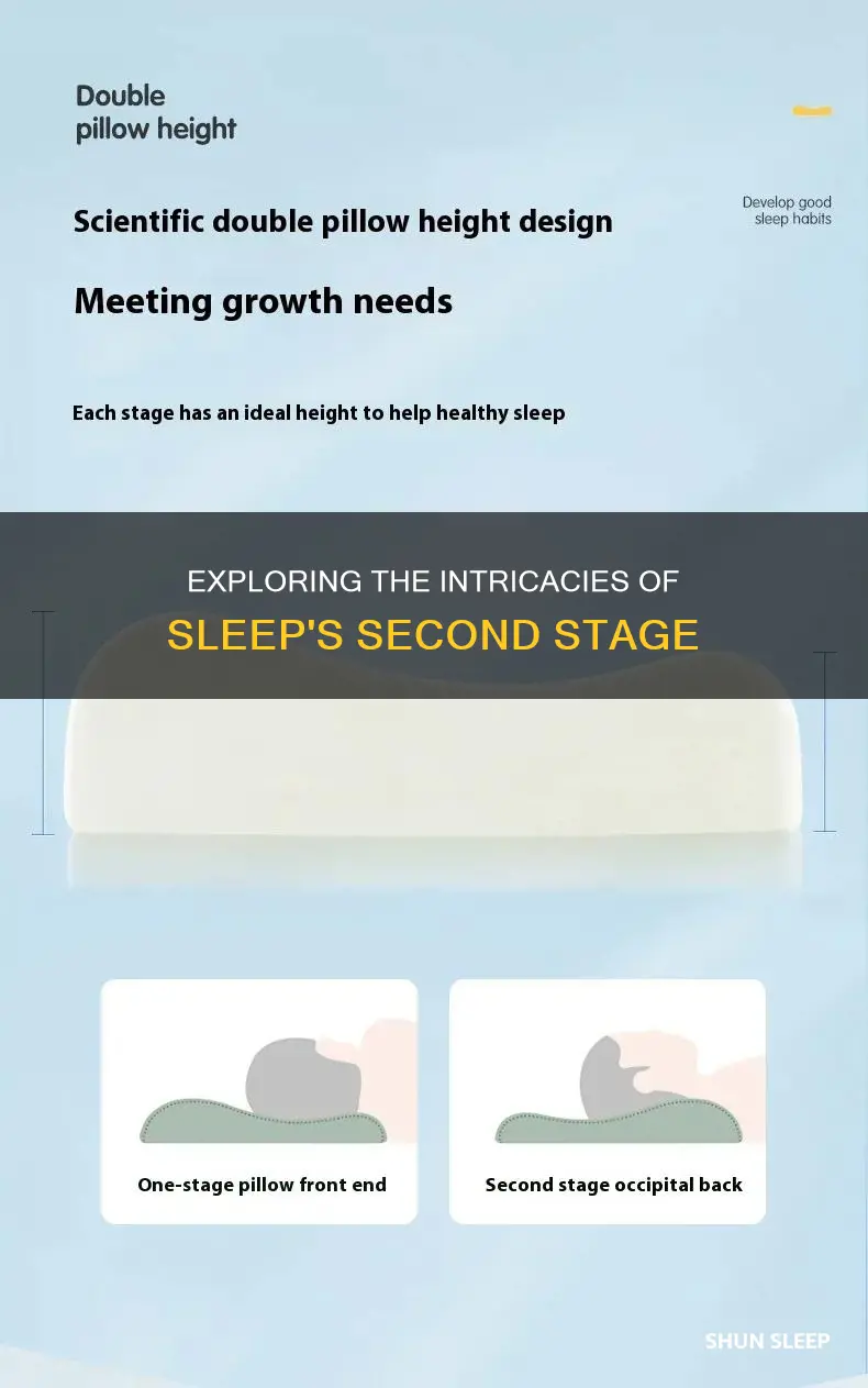 what happens i nthe second stage of sleep