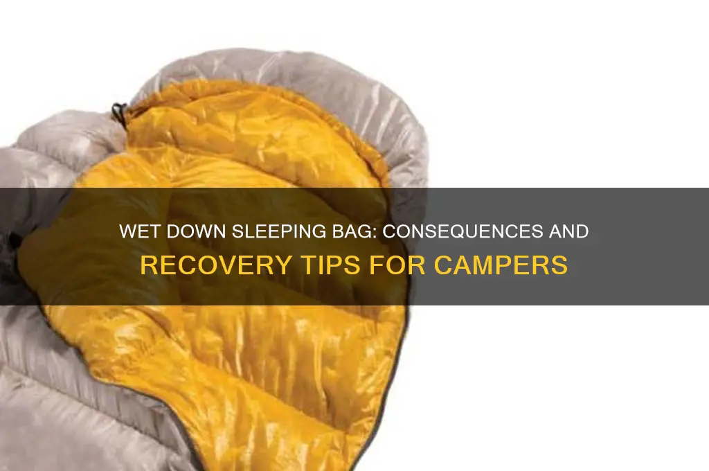 what happens if a down sleeping bag gets wet