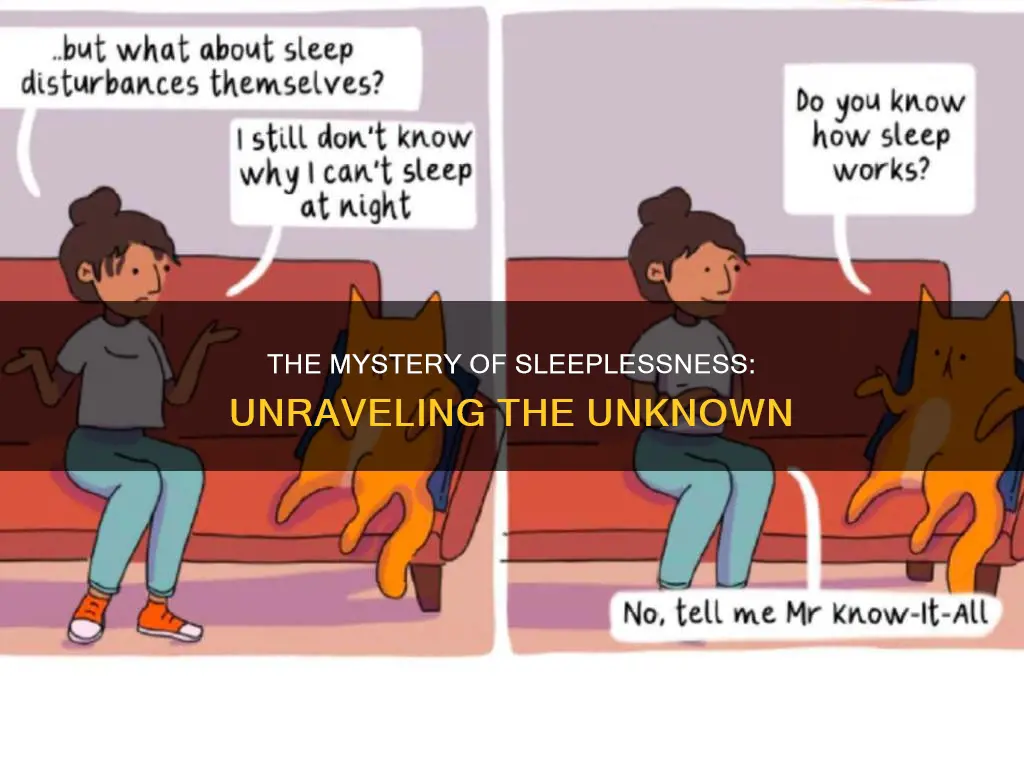 what happens if a human never sleeps