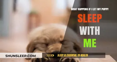 Should Your Puppy Sleep With You?