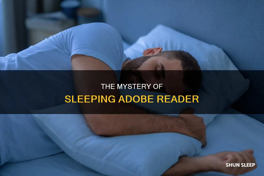what happens if i sleep adobe reader