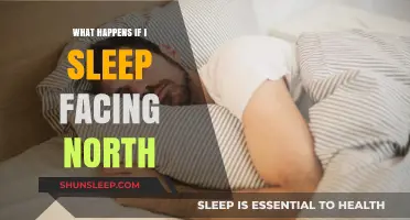 Sleeping North: Exploring Directional Sleep Benefits