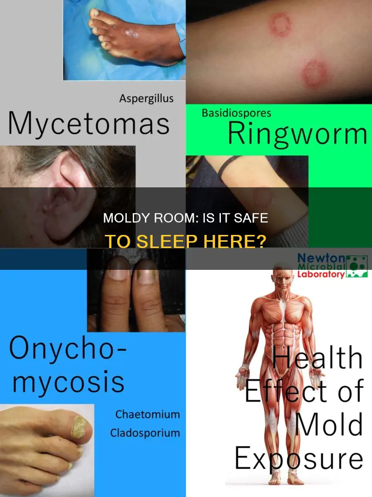 what happens if i sleep in a room with mold