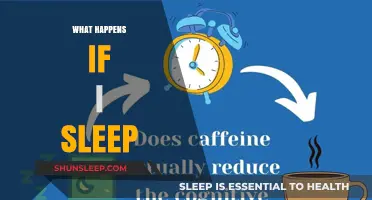 Exploring Sleep: Unraveling the Mystery of Slumber