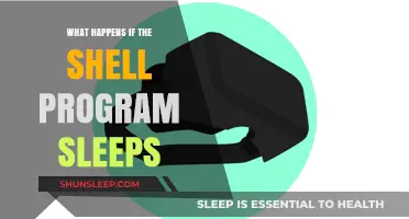 Shell Sleeps: What Happens and Why?