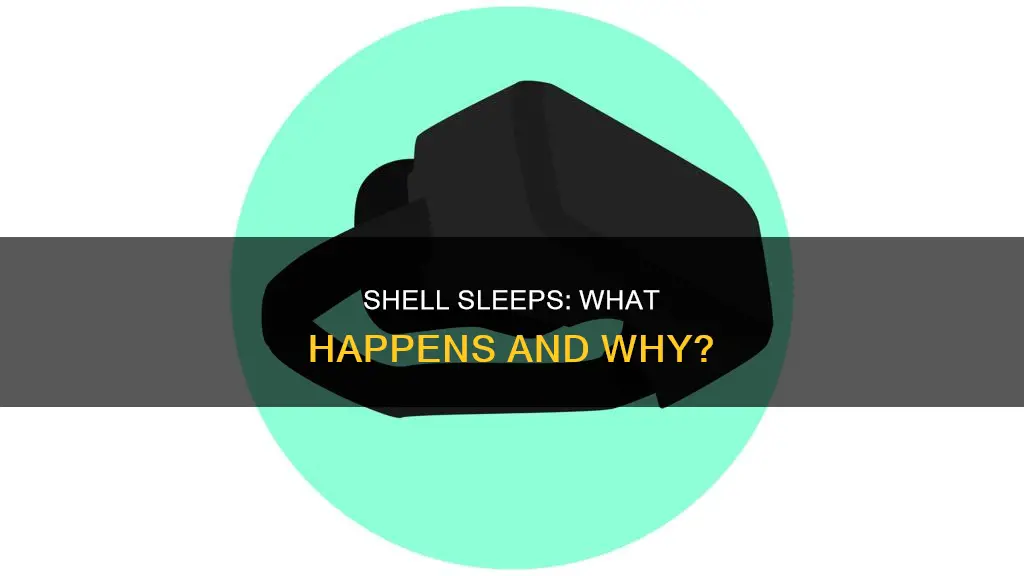 what happens if the shell program sleeps