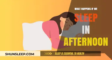 Afternoon Naps: The Science Behind Siestas