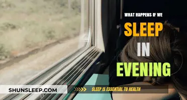 Evening Naps: The Science Behind Sleep Patterns