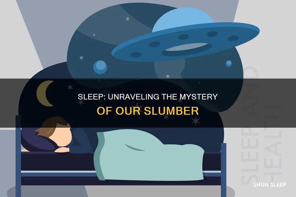 what happens if we sleep