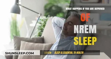 The Dark Side of NREM Sleep Deprivation