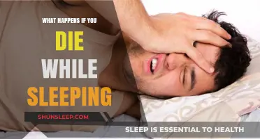 The Mystery of Dying in Sleep