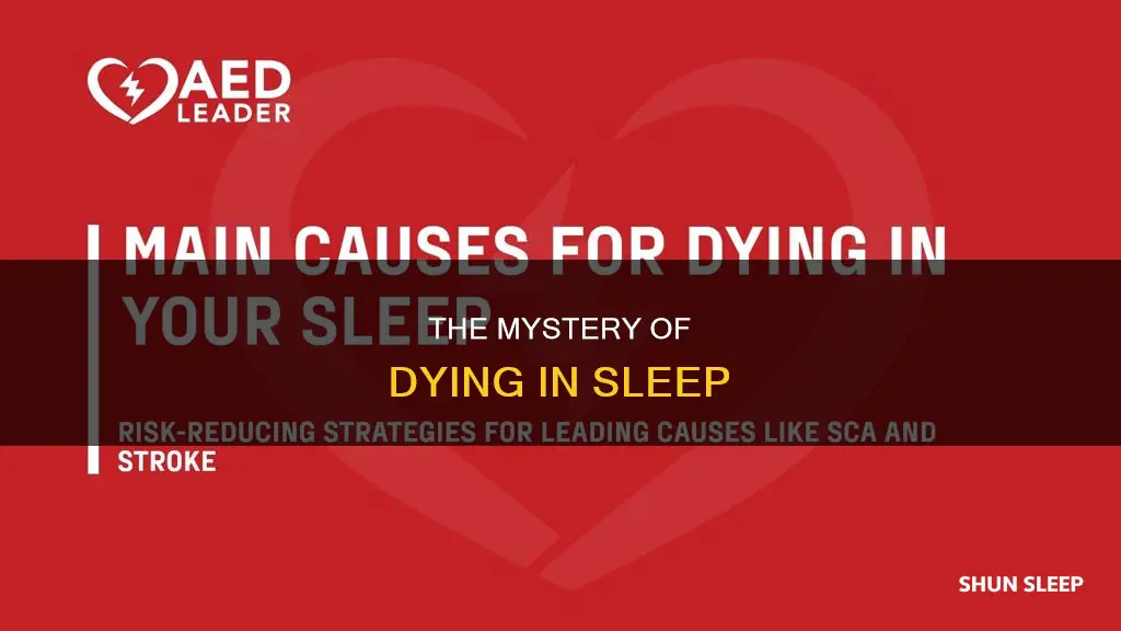 what happens if you die while sleeping