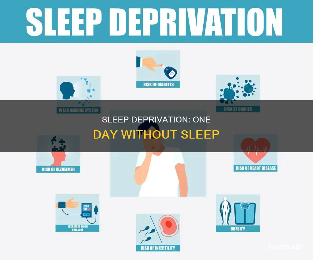 what happens if you dont sleep forone day